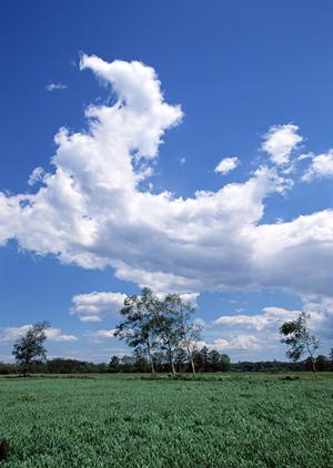 遺族によりそった家族葬を行うなら