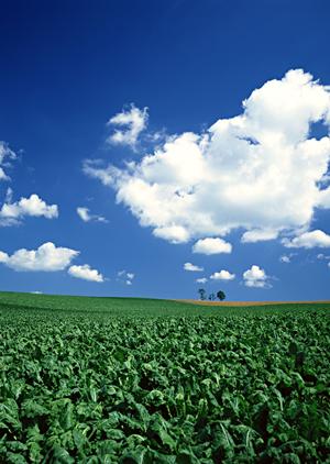 磐田市にある信頼の葬儀場【富士葬祭 中泉】の特徴とサービス内容徹底解説