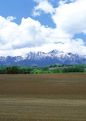 静岡市清水区の家族葬専門斎場【家族葬のタクセル上原】の特徴とアクセス情報