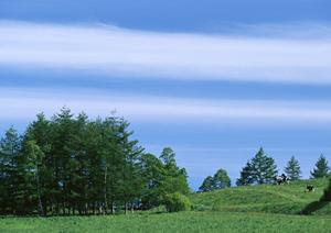 永代供養なら東京のここが理想的です