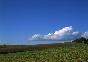 山形での葬儀場探しで気を付けること