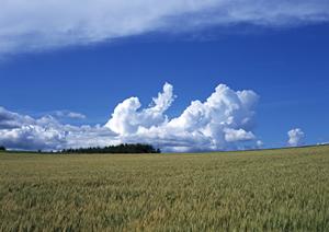 【公式】さがみ典礼 中戸祭|栃木県宇都宮市の信頼の葬儀サービスと特徴・詳細情報