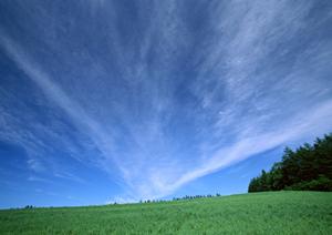 静岡県焼津市の家族葬専門斎場|家族葬のタクセル西焼津の特徴とメリット