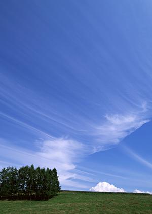 大阪で永代供養に対応してもらえる寺