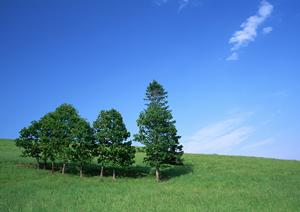 宗旨や宗派を問わないお寺のお葬式
