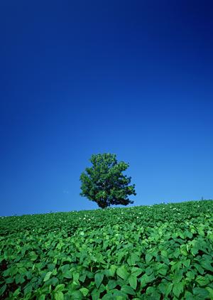 静岡県富士宮市の家族葬専門斎場「家族葬のタクセル宮原」の特徴と魅力
