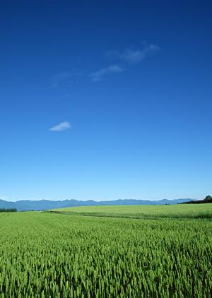 静岡市清水区の家族葬専門斎場|家族葬のタクセル北矢部町の特徴と料金プラン解説