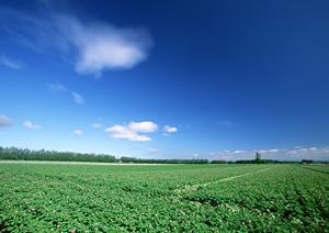 一回忌のお返しを扱うネットショップなら