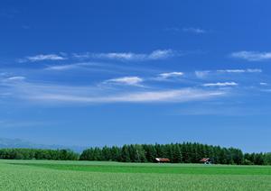 栃木県那須塩原市の家族葬に最適な【公式】家族葬のタクセル西朝日町:安心の料金と充実のサービスを提供