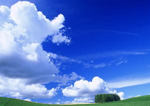 川越で安心の葬儀会社をお探しなら