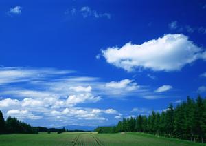 静岡市清水区の家族葬・斎場案内|富士葬祭 双樹の特徴と安心の葬儀サービス