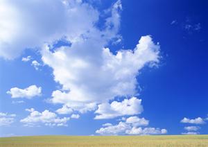 筑西市での家族葬ファミーユの葬儀場