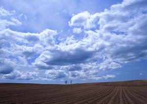 栃木県宇都宮市の家族葬に最適な斎場・葬儀場【家族葬のタクセル下岡本町】の詳細紹介
