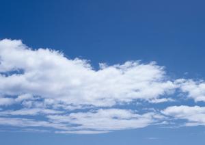 「大阪で選ばれるペット葬儀サービスのすべて:安心・信頼の理由と料金ガイド」