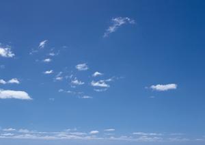 東京湾沖合で散骨をしたい場合におすすめ