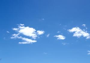 流山市で家族葬のサポートをしてもらうのなら