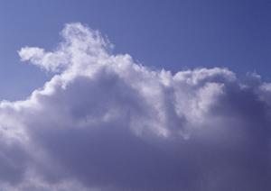 【2025年最新版】台東区の永代供養を徹底解説!安心・納得の供養方法と選び方