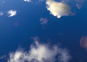 大切なペットが亡くなったらどうしますか