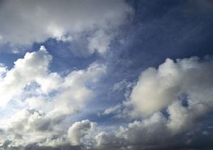 京都でお墓の購入を考えているなら