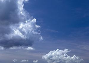 鹿児島市における安心のペット葬儀