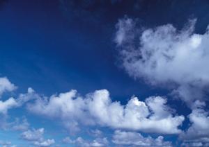 盛岡でペット葬儀をするならこの寺院