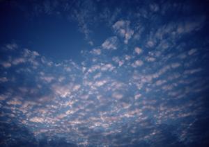 川崎全域に対応する地域の人達の葬儀社