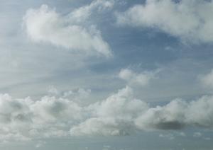 将来を見据えた墓地管理ができます