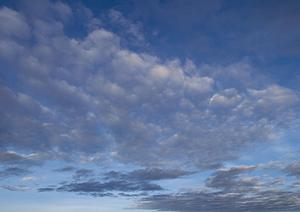 徳島でも今注目されている葬儀会社