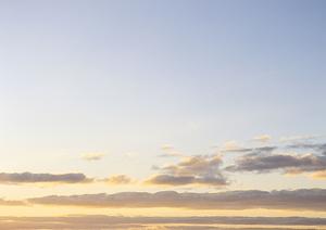 長い歴史のある山寺の中の樹木葬