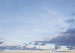 樹木墓地は大地に還る自然な心で