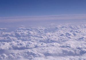 外苑前駅徒歩0分ペット供養墓がある墓苑